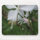 Search for blurred photography Floral