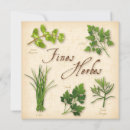 Search for chive home living Herb