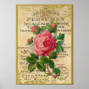 Search for perfume posters Roses