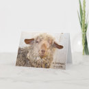 Search for wink cards Animal