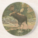 Search for hunt barware Nature