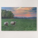 Search for sheep farm puzzles Field