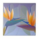Search for bird of paradise tiles Colourful