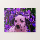 Search for dalmatian puzzles Puppy