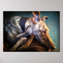 Search for brindle posters Lurcher