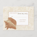 Search for conch shells invitations Destination