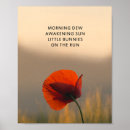 Search for poem photography Flower