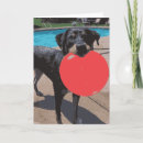 Search for summertime cards Red