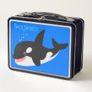 Search for orca lunch boxes Ocean
