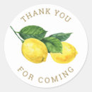 Search for garden grove stickers Watercolor