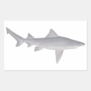 Search for saltwater fishing stickers River