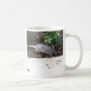 Search for armadillo drinkware Animal