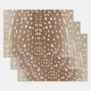 Search for fawn gift wrap Antelope