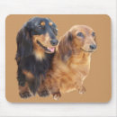 Search for dachshund mousepads Dog