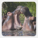 Search for ralph stickers Africa