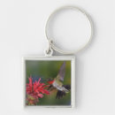 Search for throated key rings Ruby throated hummingbird