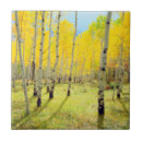 Search for fall colour tiles America