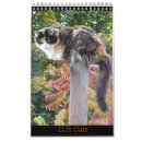 Search for meow office supplies Photography