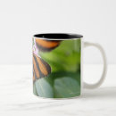 Search for butterfly wings mugs Outdoors