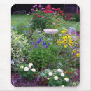 Search for coneflower mousepads Summer