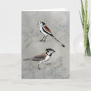 Search for perch cards Domestic