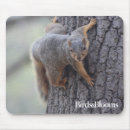 Search for funny squirrel electronics Tree