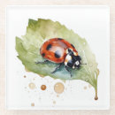 Search for ladybug coasters Cute