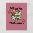 Search for pollinators postcards Bee