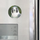 Search for peregrination magnets Animal