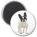 Search for french bulldog magnets cute