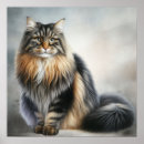 Search for long hair cats posters Animals