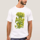 Search for natural object Cutout