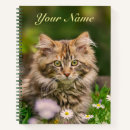 Search for fluffy photography Animal