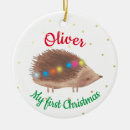 Search for cute hedgehog christmas tree decorations Winter