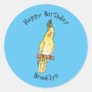 Search for cockatiel stickers Bird