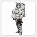 Search for katz stickers Kittens
