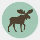 Search for moose in stickers Wildlife