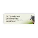 Search for vet return address labels Dogs
