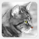 Search for black felines stickers Pet