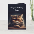 Search for cat owner Birthday