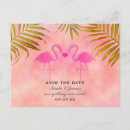 Search for pink flamingo save the dates Modern
