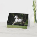 Search for bob cards Dapple grey