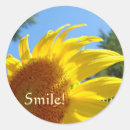 Search for smiling flower stickers Sunflower