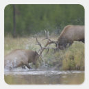 Search for np stickers Wildlife