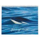Search for whale gifts Killer