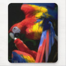 Search for parrots mousepads Animals