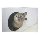Search for blankets pillowcases Cute