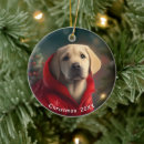 Search for yellow labrador christmas tree decorations Pets