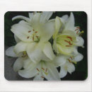Search for lilly flower mousepads Lillies