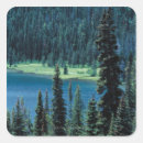 Search for grand teton stickers Tree